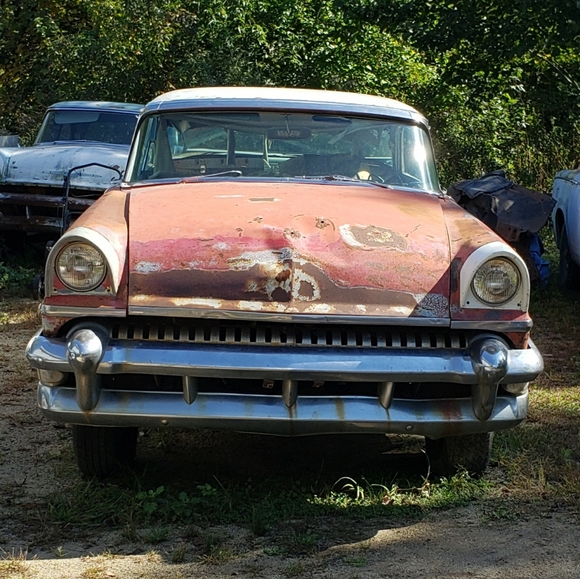 Meet your Posher, Pamela - Picture 5 of 6